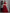 Butterfly Net Lehenga Choli Reception Outfit for Women - MYLUXURY LANE ENTERPRISE