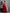 Butterfly Net Lehenga Choli Reception Outfit for Women - MYLUXURY LANE ENTERPRISE