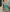 Butterfly Net Designer Lehenga Choli for Elegant Events - MYLUXURY LANE ENTERPRISE