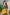 Chanderi Cotton Samira Kurti - MYLUXURY LANE ENTERPRISE