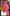 Chanderi Silk Ladies Printed Zari Suit - MYLUXURY LANE ENTERPRISE