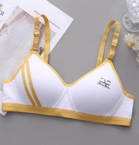 Japanese Style Small Chest Push Up Bra - MYLUXURY LANE ENTERPRISE