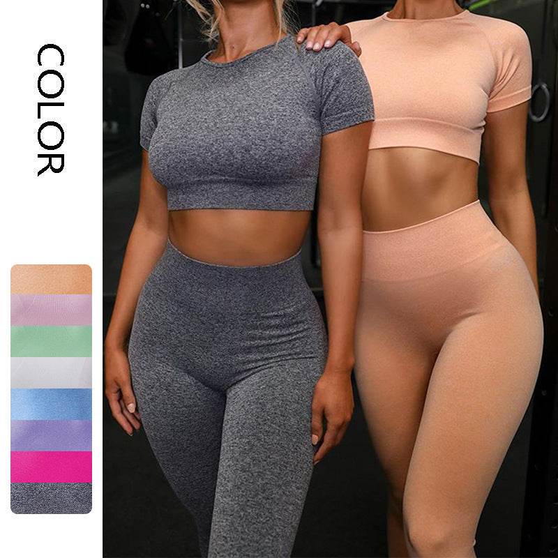 Seamless Yoga Sport Set Fitness Women Running Leggings Short Sleeve Tops - MYLUXURY LANE ENTERPRISE