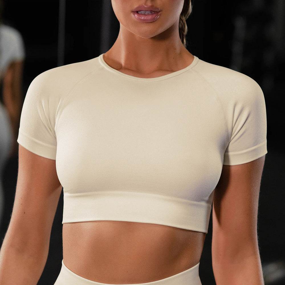 Seamless Yoga Sport Set Fitness Women Running Leggings Short Sleeve Tops - MYLUXURY LANE ENTERPRISE