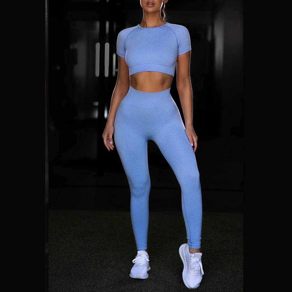 Seamless Yoga Sport Set Fitness Women Running Leggings Short Sleeve Tops - MYLUXURY LANE ENTERPRISE