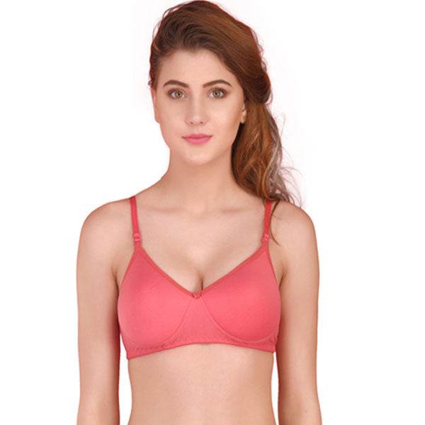 3 Pack Seamless padded T shirt bra - MYLUXURY LANE ENTERPRISE