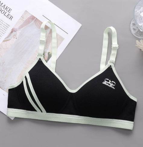 Japanese Style Small Chest Push Up Bra - MYLUXURY LANE ENTERPRISE