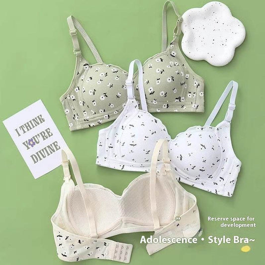 No Steel Ring Thin Underwear Gathering Bra - MYLUXURY LANE ENTERPRISE