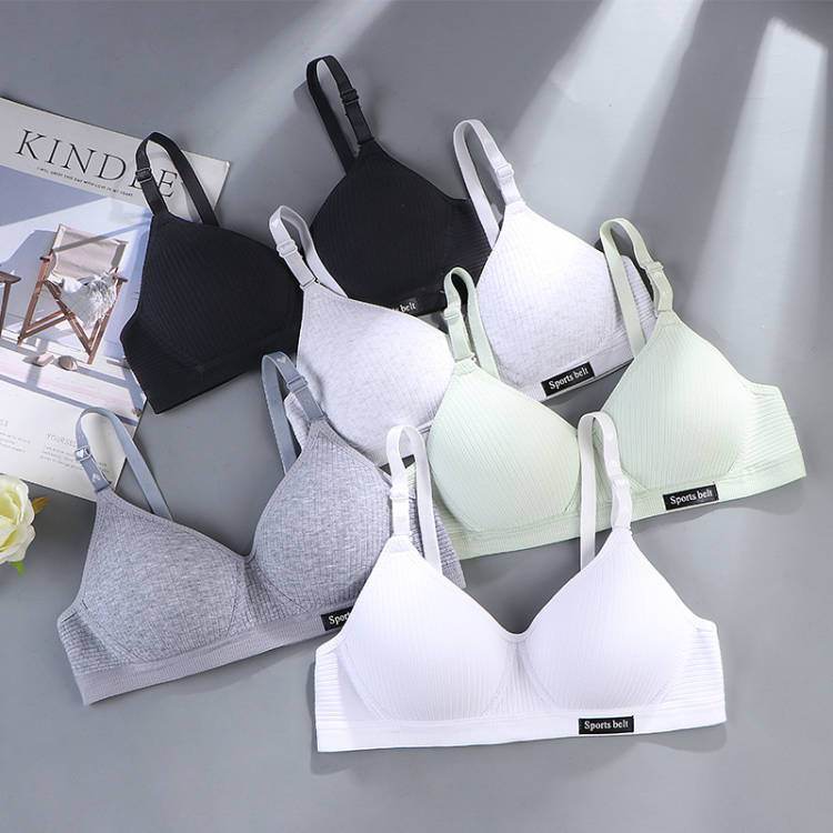 Pure Cotton Girl Comfortable Seamless Underwear Without Steel Ring - MYLUXURY LANE ENTERPRISE