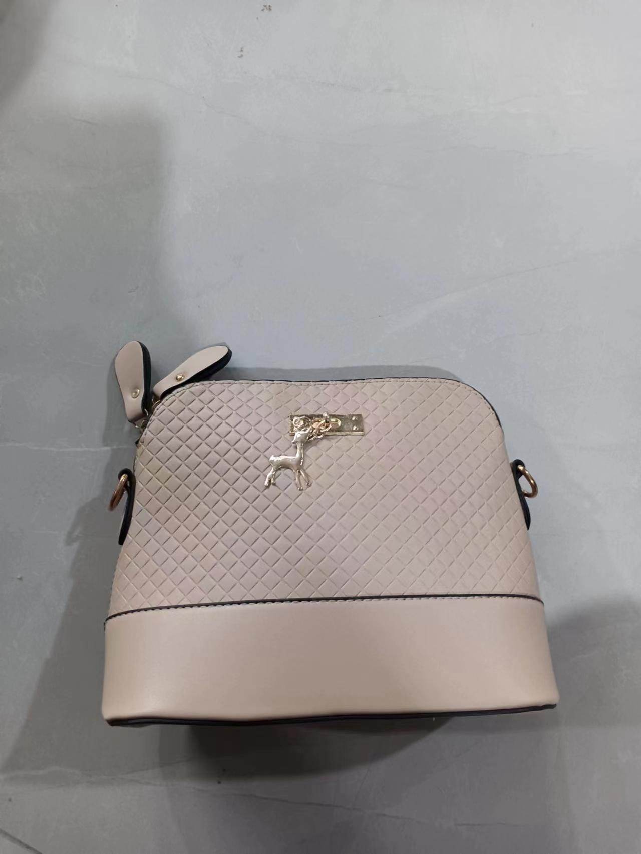 Fashion Women's Bag Trendy Portable - MYLUXURY LANE ENTERPRISE