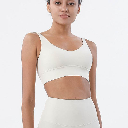 Double-sided Brushed Deep V Beautiful Back Sports Bra - MYLUXURY LANE ENTERPRISE