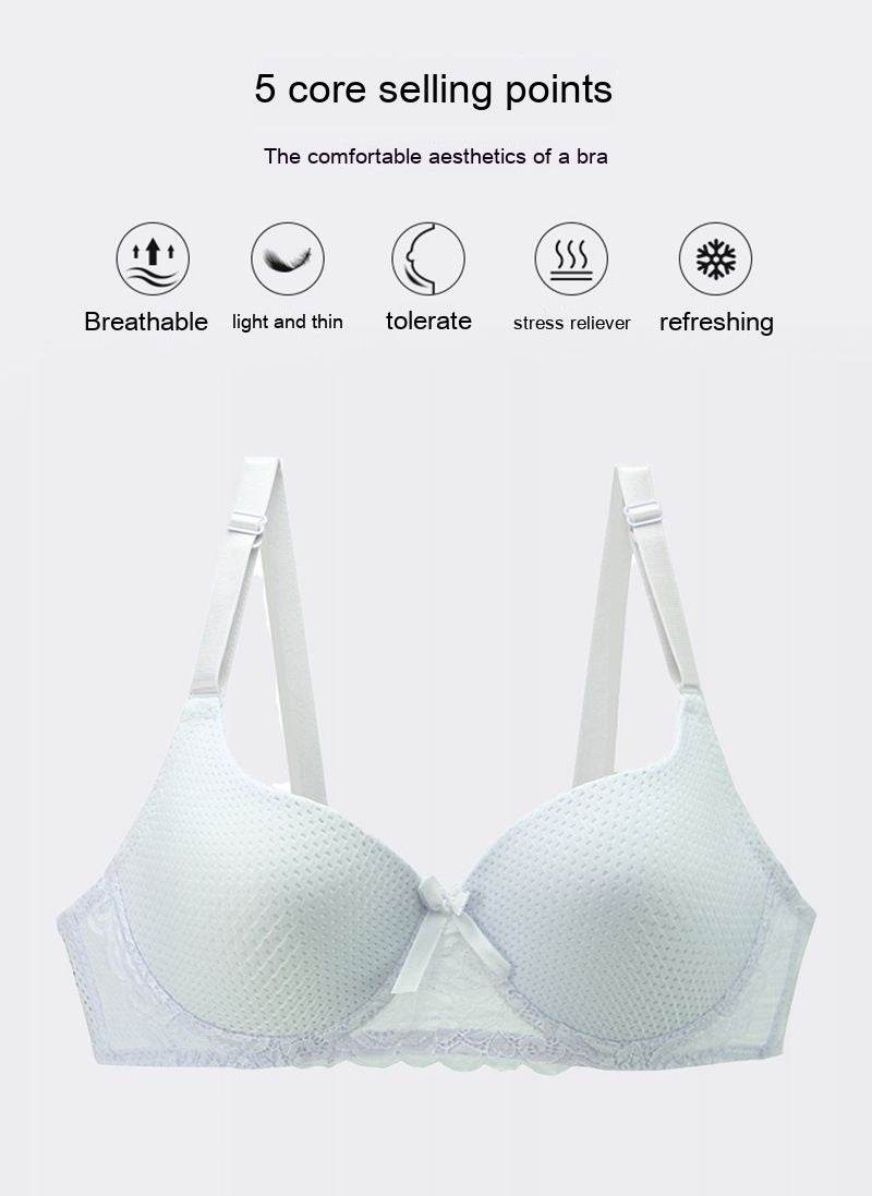 Plus Size Lace Lingerie Bra - MYLUXURY LANE ENTERPRISE