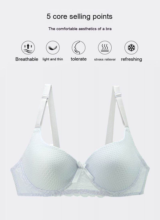 Plus Size Lace Lingerie Bra - MYLUXURY LANE ENTERPRISE