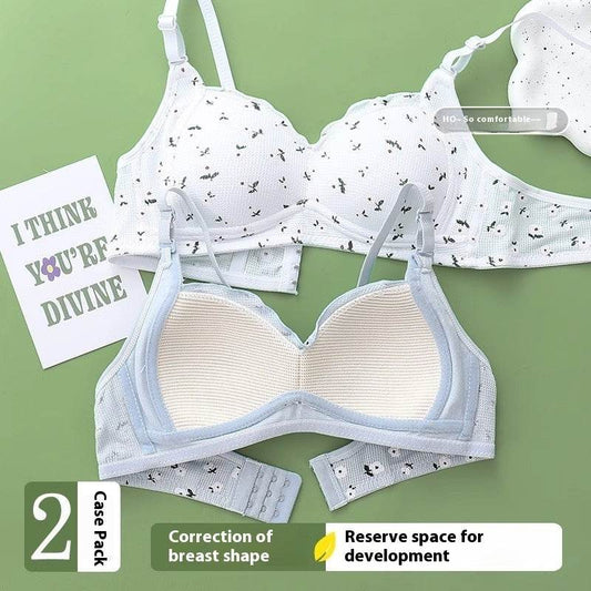 No Steel Ring Thin Underwear Gathering Bra - MYLUXURY LANE ENTERPRISE