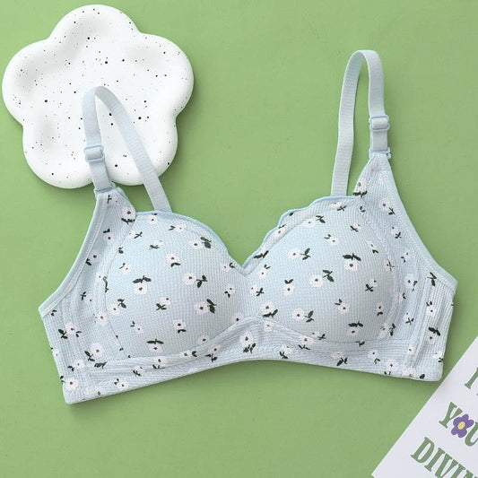 No Steel Ring Thin Underwear Gathering Bra - MYLUXURY LANE ENTERPRISE