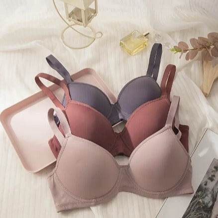Push Up Breast Holding Thin Cup Bra With Steel Ring - MYLUXURY LANE ENTERPRISE