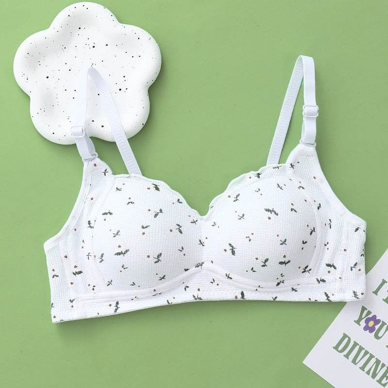 No Steel Ring Thin Underwear Gathering Bra - MYLUXURY LANE ENTERPRISE