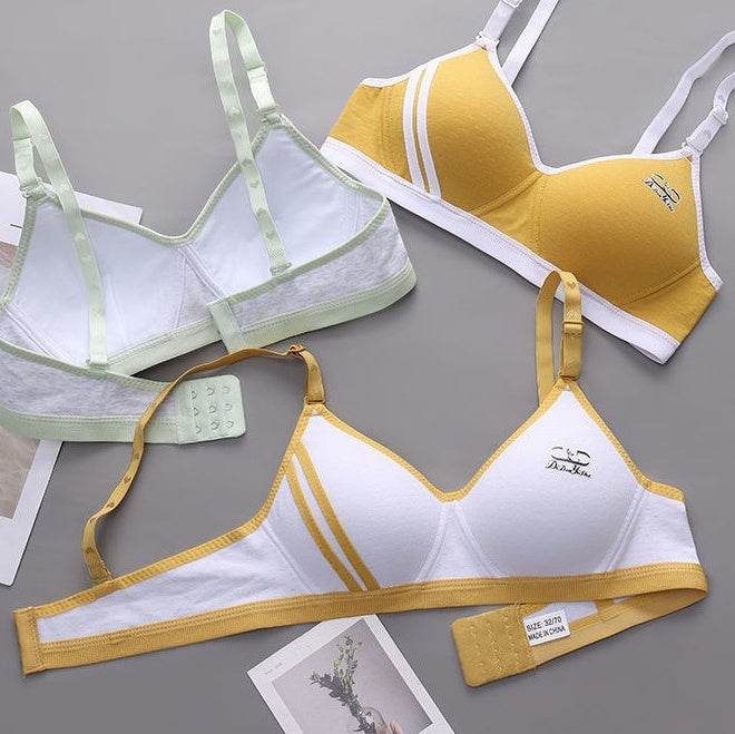 Japanese Style Small Chest Push Up Bra - MYLUXURY LANE ENTERPRISE