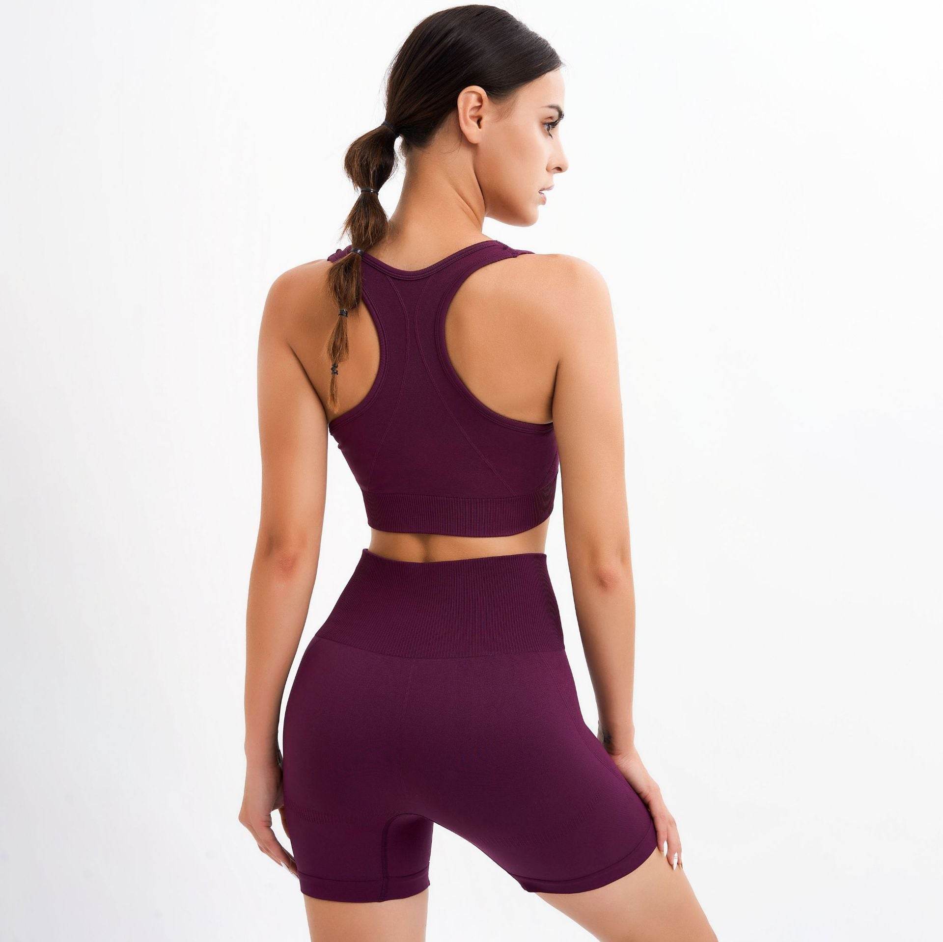 Gym Suit Push Up Women Bra Seamless Shorts - MYLUXURY LANE ENTERPRISE
