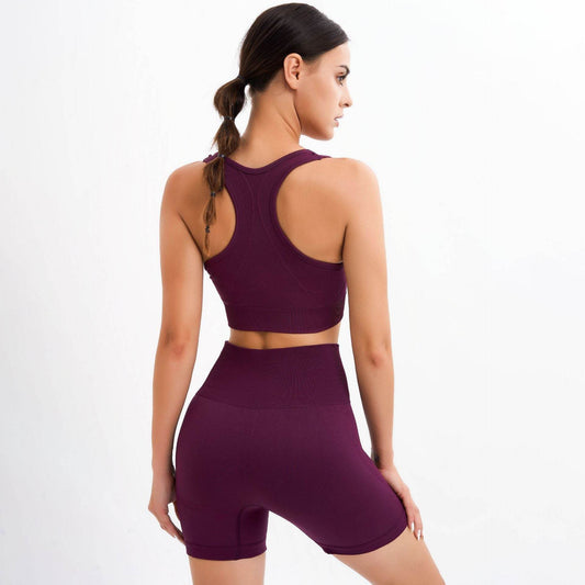Gym Suit Push Up Women Bra Seamless Shorts - MYLUXURY LANE ENTERPRISE
