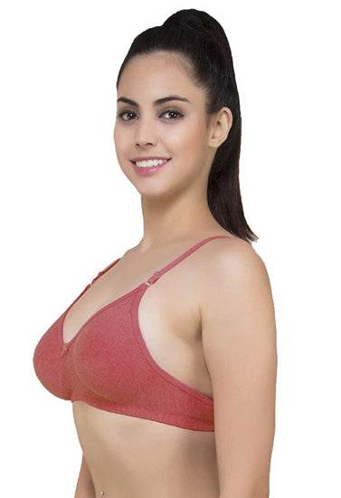 Lightly Padded classic comfort bra pack of 2 - MYLUXURY LANE ENTERPRISE