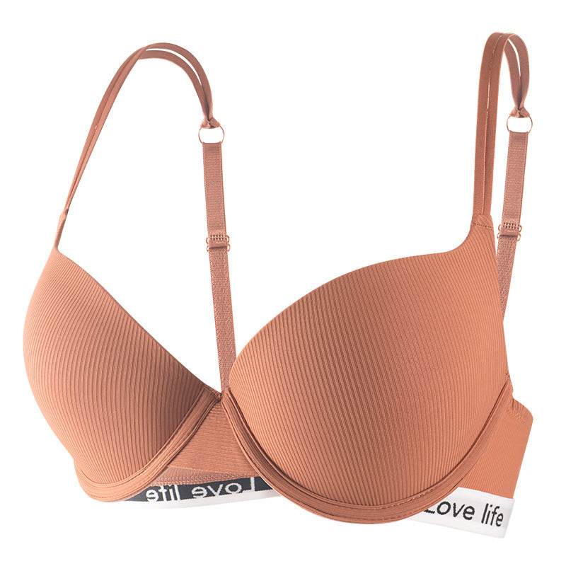 Push Up Steel Ring Bra Adjustable Underwear - MYLUXURY LANE ENTERPRISE