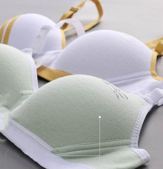 Japanese Style Small Chest Push Up Bra - MYLUXURY LANE ENTERPRISE