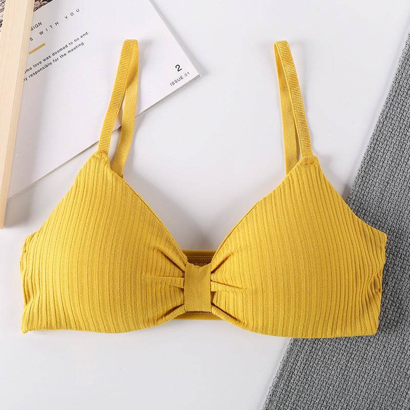 Triangle Cup Bra With Chest Pad Tube Top All-Match Underwear Women - MYLUXURY LANE ENTERPRISE