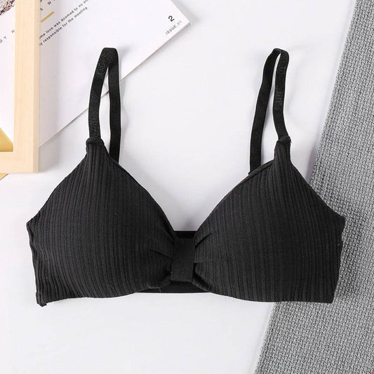 Triangle Cup Bra With Chest Pad Tube Top All-Match Underwear Women - MYLUXURY LANE ENTERPRISE