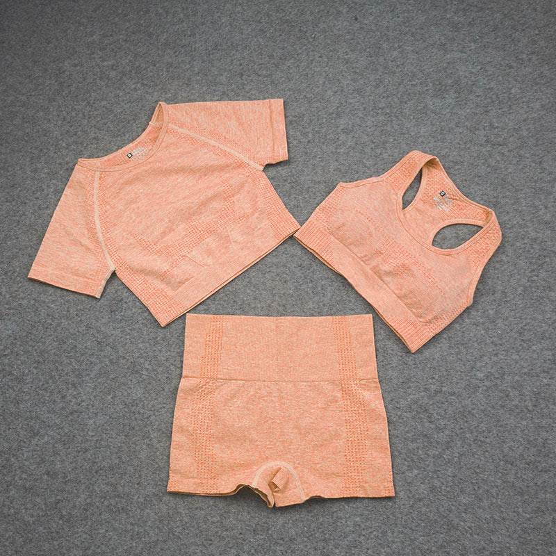 Spotless Sports Bra Quick Dry Set - MYLUXURY LANE ENTERPRISE