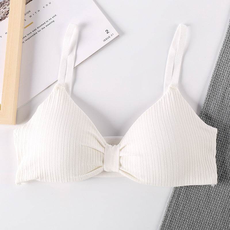 Triangle Cup Bra With Chest Pad Tube Top All-Match Underwear Women - MYLUXURY LANE ENTERPRISE