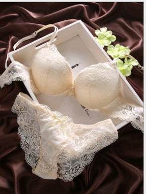 Sexy Lingerie Full Lace Bra Set - MYLUXURY LANE ENTERPRISE