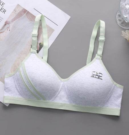 Japanese Style Small Chest Push Up Bra - MYLUXURY LANE ENTERPRISE