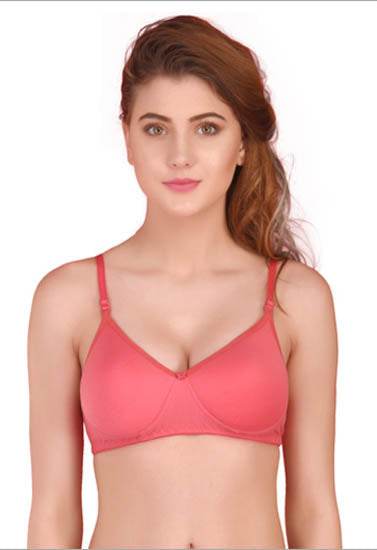 3 Pack Seamless padded T shirt bra - MYLUXURY LANE ENTERPRISE