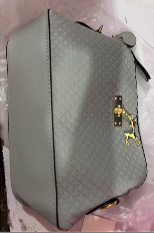Fashion Women's Bag Trendy Portable - MYLUXURY LANE ENTERPRISE