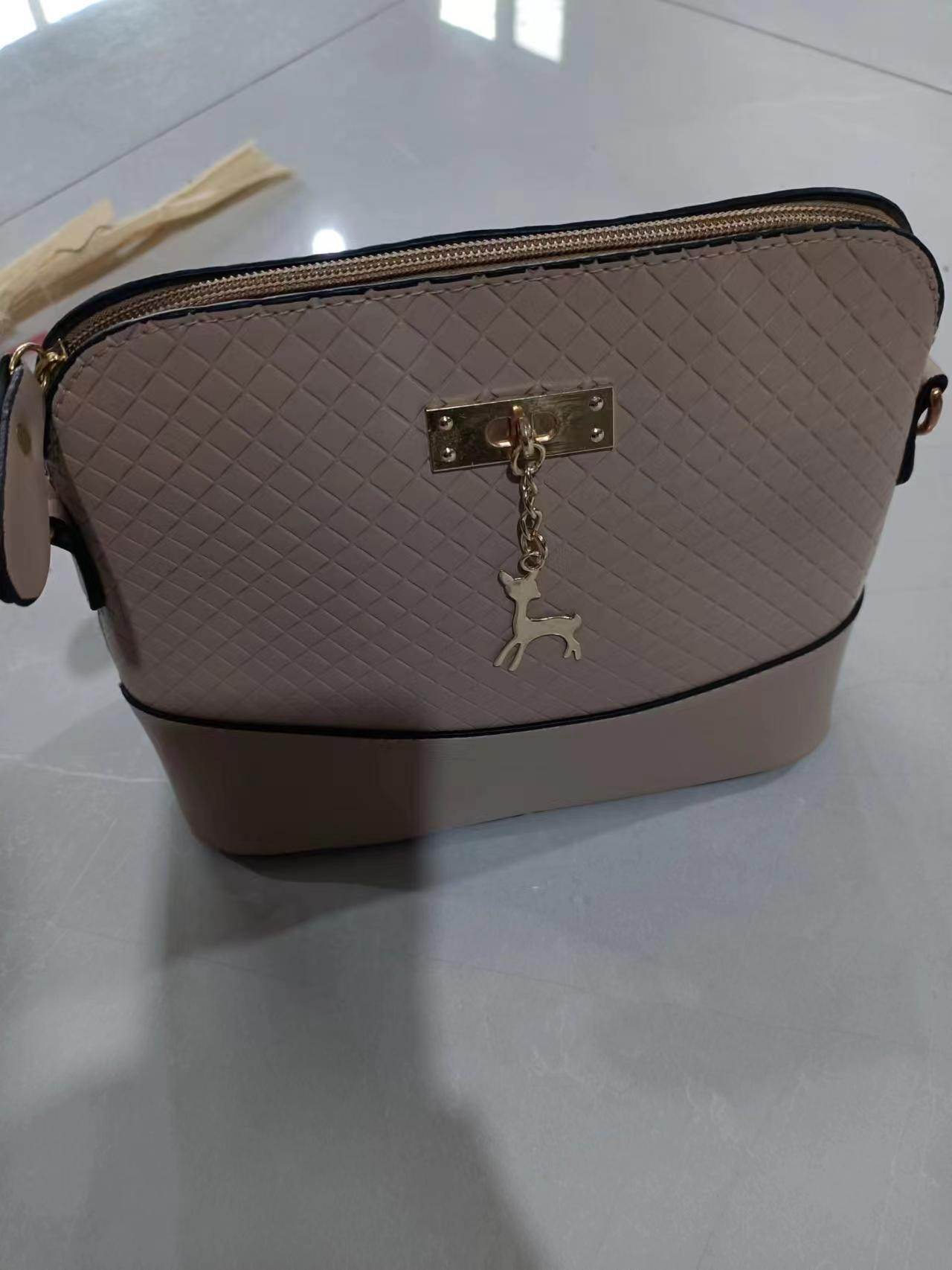 Fashion Women's Bag Trendy Portable - MYLUXURY LANE ENTERPRISE