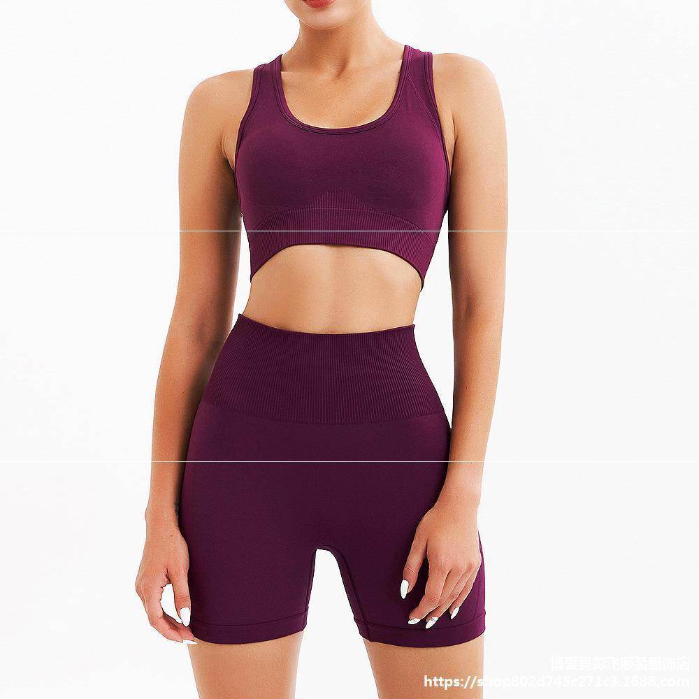 Gym Suit Push Up Women Bra Seamless Shorts - MYLUXURY LANE ENTERPRISE