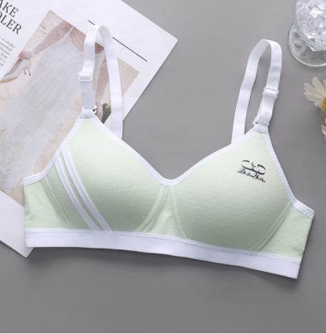 Japanese Style Small Chest Push Up Bra - MYLUXURY LANE ENTERPRISE