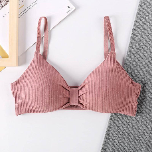 Triangle Cup Bra With Chest Pad Tube Top All-Match Underwear Women - MYLUXURY LANE ENTERPRISE