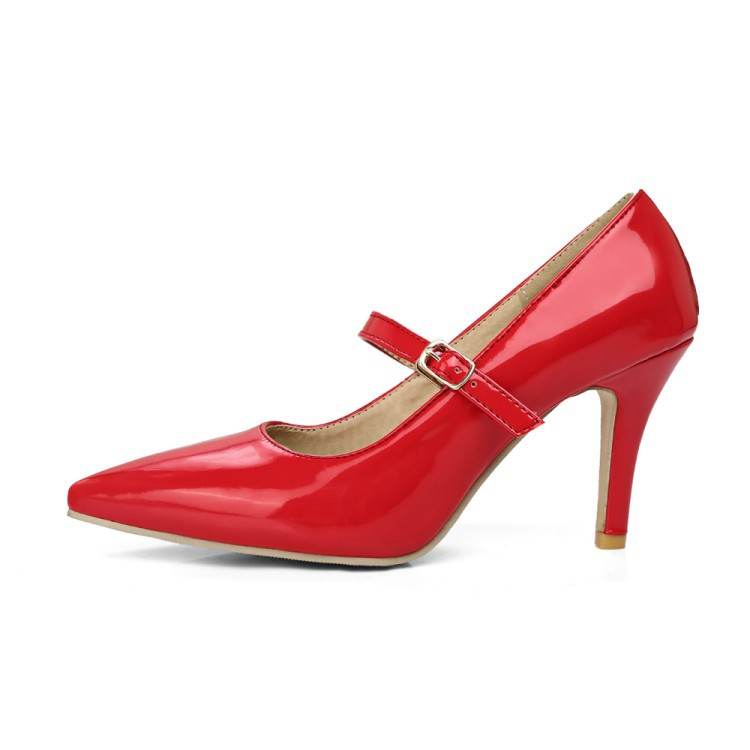 Pointed Toe Low-cut Plus Size High Heel Women's Shoes - MYLUXURY LANE ENTERPRISE