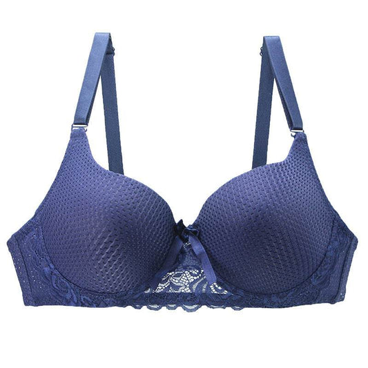 Plus Size Lace Lingerie Bra - MYLUXURY LANE ENTERPRISE