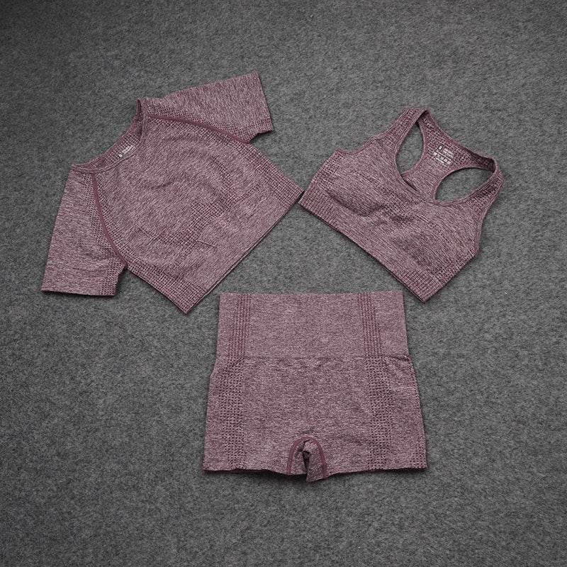 Spotless Sports Bra Quick Dry Set - MYLUXURY LANE ENTERPRISE