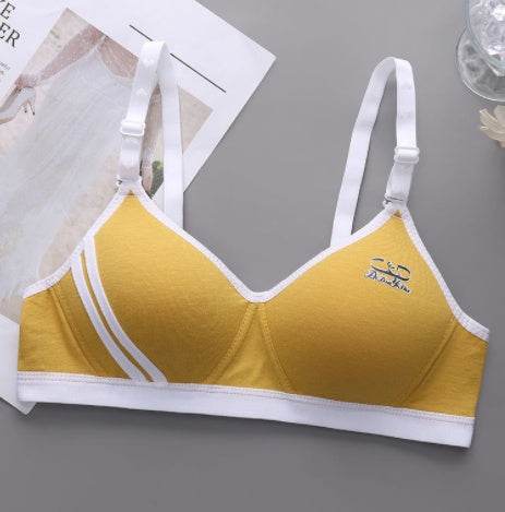 Japanese Style Small Chest Push Up Bra - MYLUXURY LANE ENTERPRISE