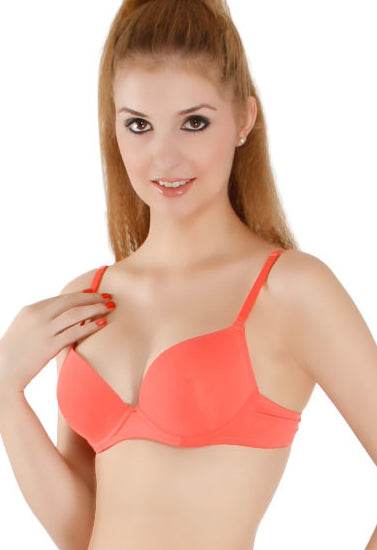 Comfortable Padded Non Wired Smooth T-Shirt Bra - MYLUXURY LANE ENTERPRISE