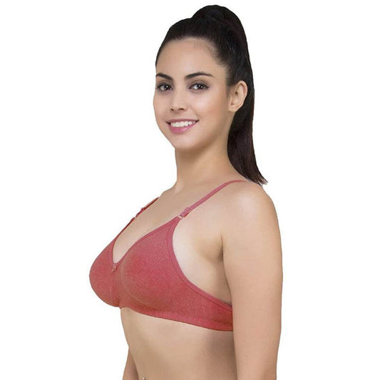Lightly Padded classic comfort bra pack of 2 - MYLUXURY LANE ENTERPRISE