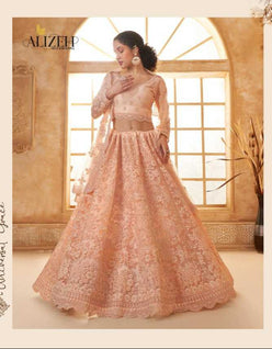 Banglori Silk Embroidered Sequins Lehenga