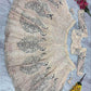 Butterfly Net Designer Wedding Lehenga - MYLUXURY LANE ENTERPRISE