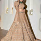 Butterfly Net Zari Work Sequins Lehenga - MYLUXURY LANE ENTERPRISE