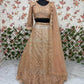 Butterfly Net Zari Work Sequins Lehenga - MYLUXURY LANE ENTERPRISE