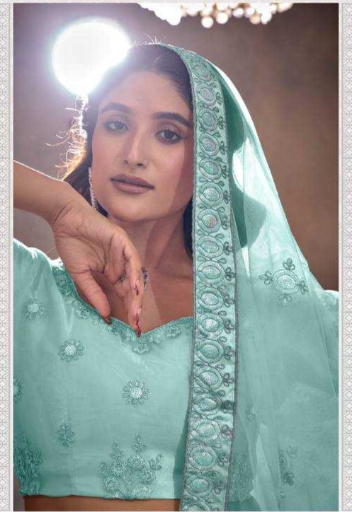 Butterfly Net Embroidered Lehenga Choli for Elegant Style